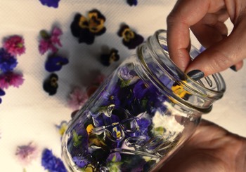  JAR OF FLOWERS - Rebecca Sullivan - Granny Skills  