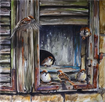  THE MEETING PLACE - Tree Sparrows - Watercolour on canvas - 50x50cm - SOLD  