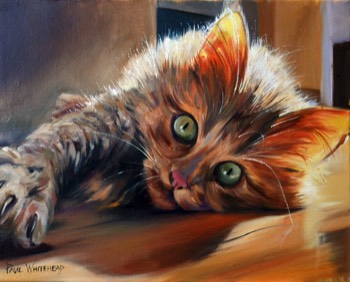  STEVE - Commission - Oil on canvas - SOLD 