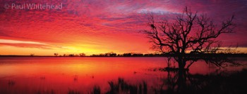 SUNRISE - Coongie Lakes, South Australia - Available size up to 100cm wide 