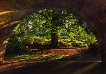  Light at the end of the tunnel, Windsor UK - Available up to 50cm wide 
